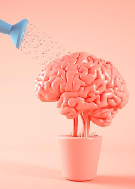 Brain Watering